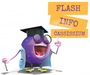 Flash Info Cassissium